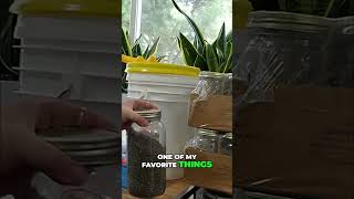 Pantry Prep: Long & Short Term Food Storage Methods #shorts