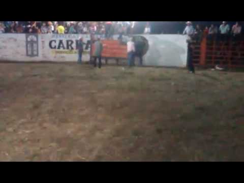 El travieso en feria taurina