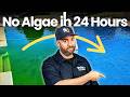 Green Pool CURE: How to Clear Up POOL ALGAE Overnight (24-Hour Fix)