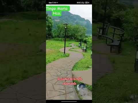 tingo Maria_ Huánuco . impresionante vista de la bella durmiente.#musicadelrecuerdo #viajes #parati