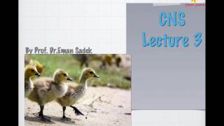 Lecture 3 CNS 2017