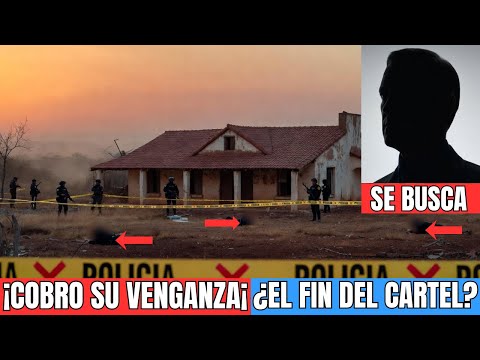 7 JEFES DE PLAZA APARECIERON MU3RTOS EN 3 MESES — LA VERDAD DETRÁS DEL VIDEO