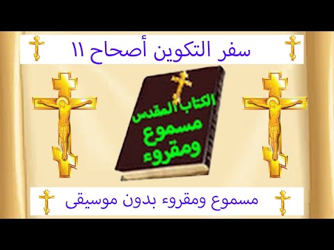 التكوين 11