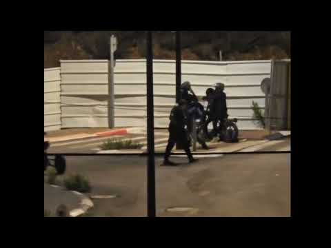 הנזק שגורמים הנערים לחברה המקומית בדליה