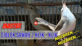 Download lagu MASTERAN KLIK-KLIK / CIBLEK SAWAH NGEBREN RAPET PANJANG // REKOMENDASI mp3