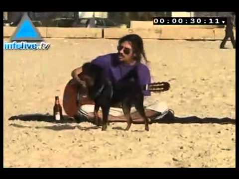 Israeli beaches ranked