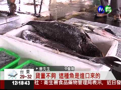 近海漁獲少6成 恐難吃到"現撈仔"