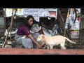 Parivattam Short Film By Sajin Baabu