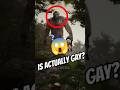 Is Bigfoot Actually Real