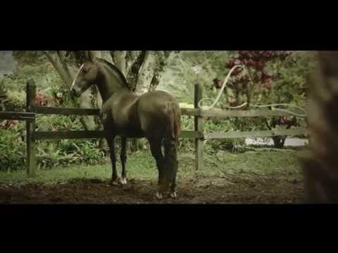 download lagu mp3 mp4 Franz Lucas, download lagu Franz Lucas gratis, unduh video klip Franz Lucas