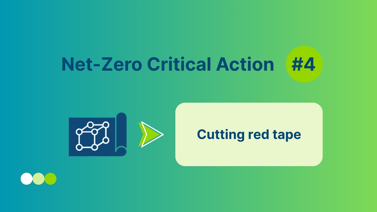 Critical action 4: Cutting red tape