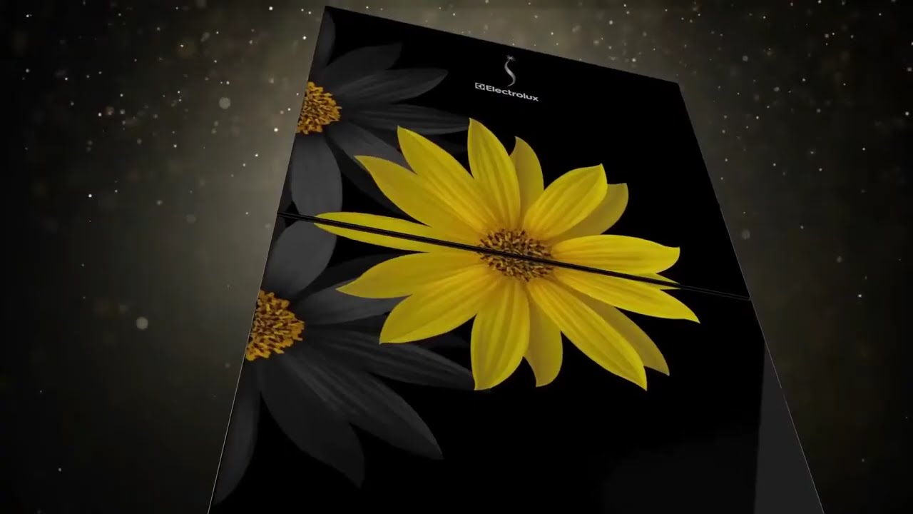 Showreel