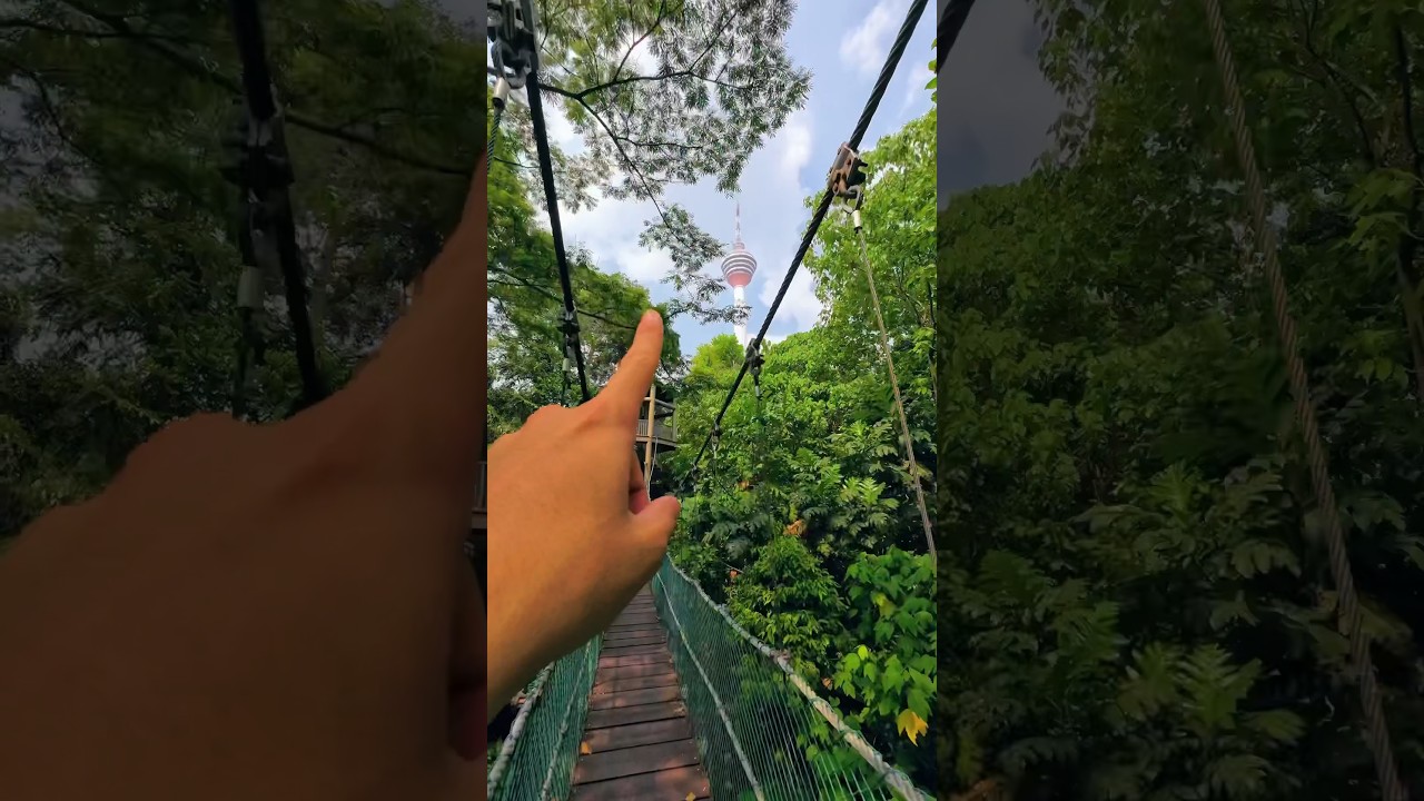 YouTube Short thumbnail