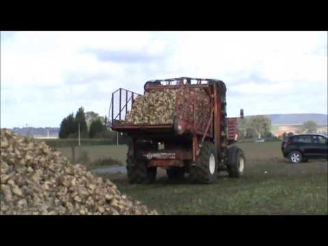 Landb uit Ploegsteert