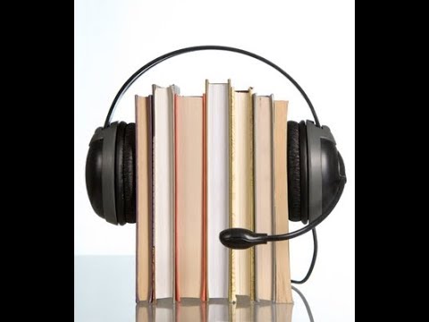 Fundamentals of Physics AudioBook