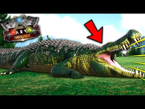 TAMEANDO COCODRILO DE 5 METROS (DEINOSUCHUS) - ARK: SVARTALFHEIM #17