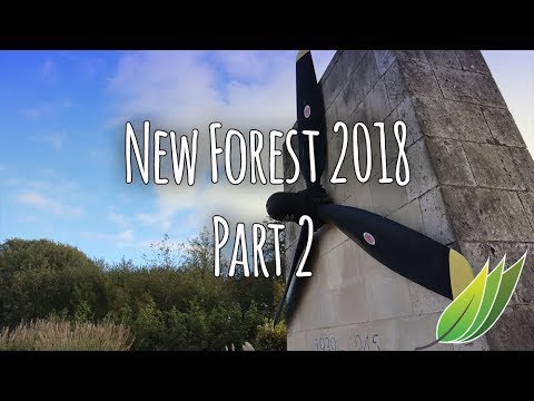 Caravanning in the New Forest - Part 2