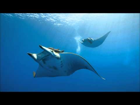 Ohmna feat. Nurlaila-Key Of Life (Marlo Remix)