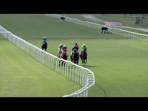 2019.06.01. 05. futam - BÁRDOSI GYÖRGY EMLÉKVERSENY HENDIKEP (I.o.)