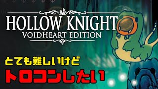 【HOLLOW KNIGHT】夢見の戦士「マーム」撃破｜トロコンを目指して #25【ホロウナイト】