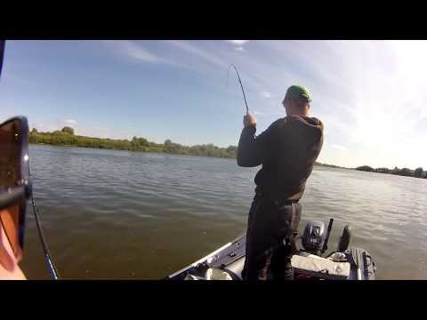 Спиннинги Varivas Violente VLE