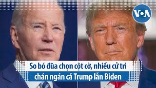 So bó đũa chọn cột cờ, nhiều cử tri chán ngán cả Trump lẫn Biden | VOA Tiếng Việt