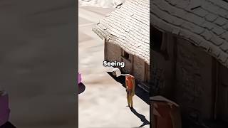 Download lagu Kemacetan lalu lintas paling tak terduga #lucu #cerita #komedi mp3