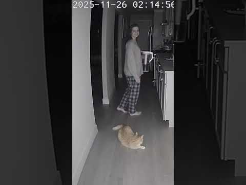 Real humans do NOT drink water like that #Cat #CCTV #UncannyValley