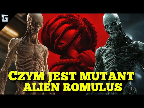 Czym była Hybryda Obcego? Alien Romulus