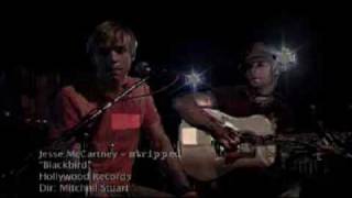 jesse mccartney - blackbird live.wmv