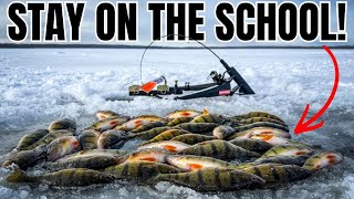 How to Keep Perch Fired Up And Aggressive When Ice Fishing!