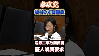 【参政党】梅村議員、【辺野古事故】への毅然とした質疑#参政党 #辺野古 #梅村みずほ #神谷宗幣