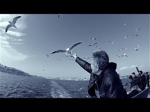 Melike Demirağ - Şimdi İstanbul'da Olmak vardı