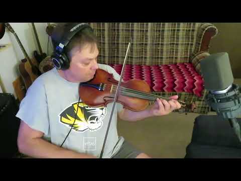 Fiddle Patch/Roger Berggren