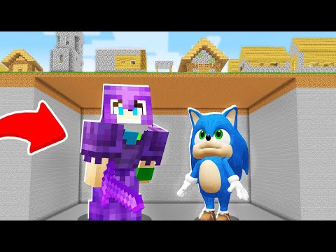 ENES ARSLAN VE BEBEK SONİC BÜYÜYOR - 😨 Minecraft