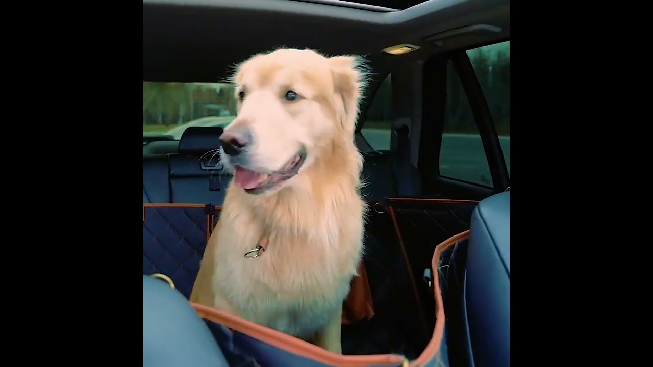 Watch the GMC Sierra Dog Seat Cover | “Travel Buddy”