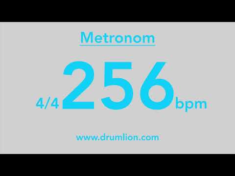 256 bpm - 4/4 | DRUMLION