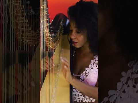 "Rainy Night in Soho" - ZEM Irish X-MAS Special - Tribute to Shane MacGowan & Sinéad O'Connor