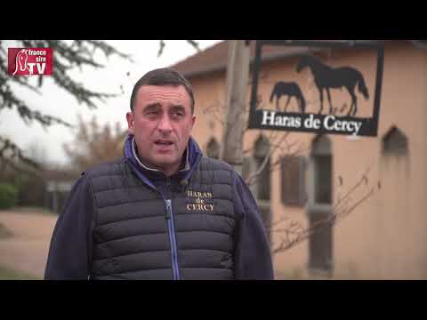 Tunis au Haras de Cercy : sa 1e sortie au paddock