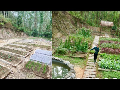 FULL VIDEO 180 Days Alone Building a farm gardening Building a life Farm life