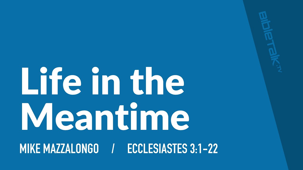 Life in the Meantime