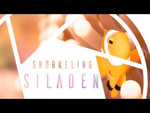 Best Snorkeling Siladen Island, Bunaken, Indonesia - Ultimate Dive Guide to best Places to Visit