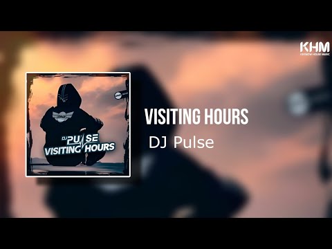 DJ Pulse - Visiting Hours (DNZ Records)