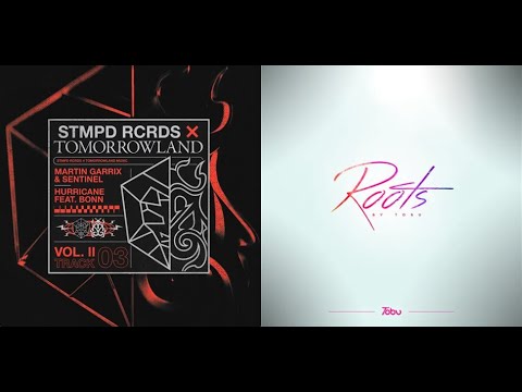 Martin Garrix & Sentinel feat. Bonn - Hurricane / Tobu - Roots (Mashup) | RaveDJ