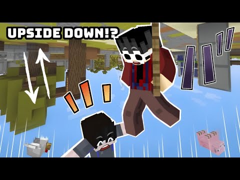Minecraft But It Is UPSIDE DOWN!