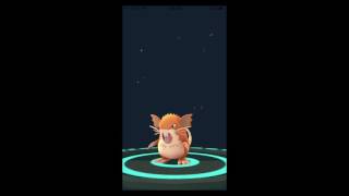 Rattata Evolving to Raticate - Pokemon GO HD 1080p