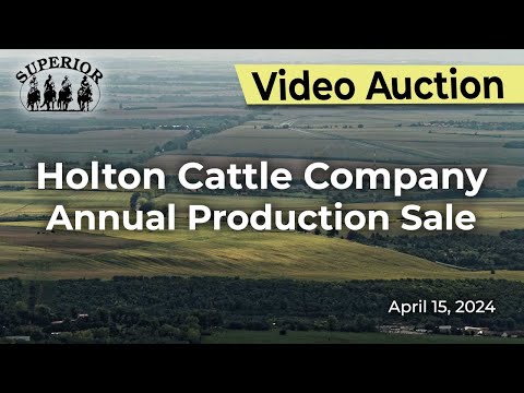 Holton Red Angus Production Sale