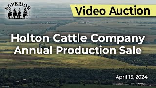 Holton Red Angus Production Sale