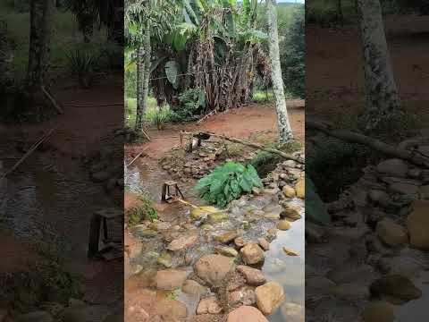Vargem Bonita/MG