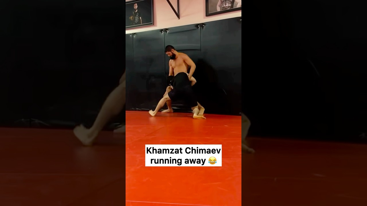 Khamzat Chimaev running away 😂